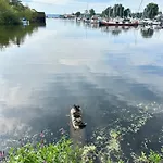 Rosi Sn Schwerin (Mecklenburg-Vorpommern)